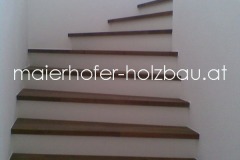 stufe-stiege-treppe-06082012003