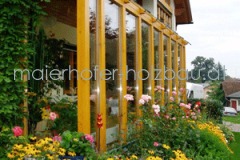 wintergarten06082012092